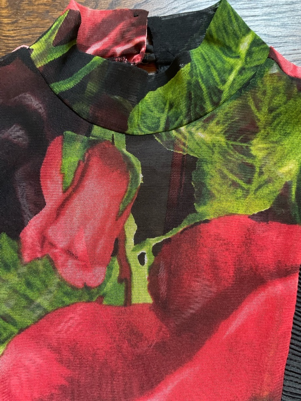 Wearable Art Romantic Goth Rose Print Mesh Bodysuit Avant Garde Statement Top - Picture 16 of 16